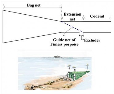 New Fishing Gear to Protect Dwindling Porpoise Population