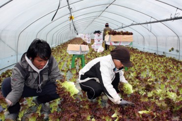 S. Korea Bans Greenhouses as ‘Dormitories’ for Foreign Workers