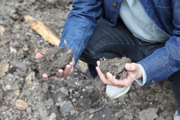 Taean Fosters Marine Healing Industries Using Peat and Mudflats