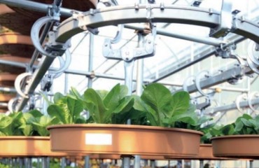 Local Firm Develops New Smart Farm System Using Trolley Conveyor Belt