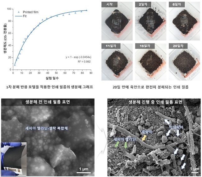 Korean Scientists Develop Biodegradable Electronic Film, Paving Way for Eco-Friendly Electronics