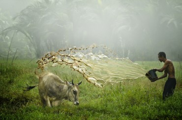 Global Photographers Call for “Environment Is Life” at GIPF 2014