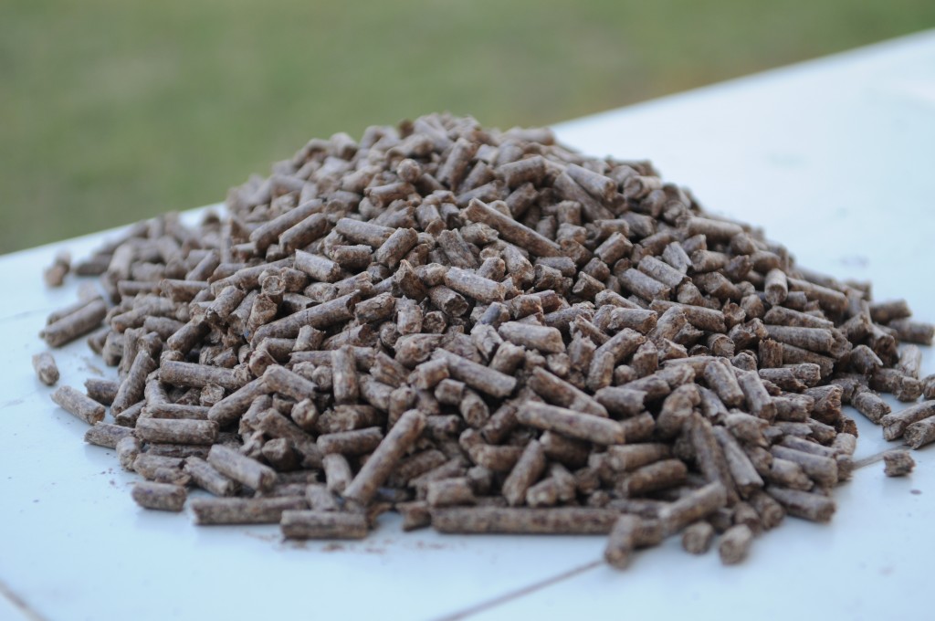 biomass pellet