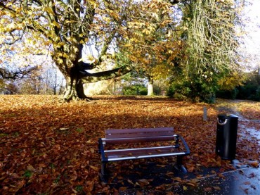 Dead Leaves Make Compost to Realize “Green Farming”