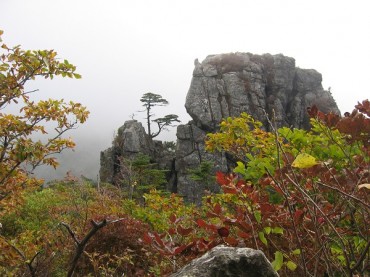 Three Korean National Parks on IUCN Green List