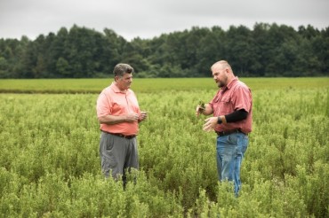 PureCircle and North Carolina Farmers Soon Harvest Company’s First Commercial Starleaf™ Stevia Crop Grown in the U.S.