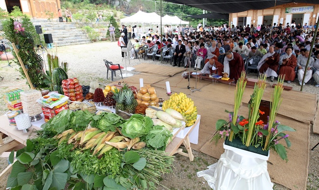 Buddhist Temple Holds Unique Memorial for Animals and Plants