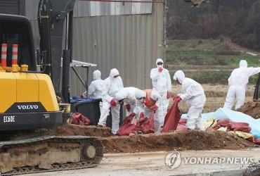 S. Korea Culls 9.81 Million Poultry over Bird Flu