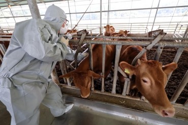 S. Korea Rolls Out Pest Control Program to Contain Lumpy Skin Disease