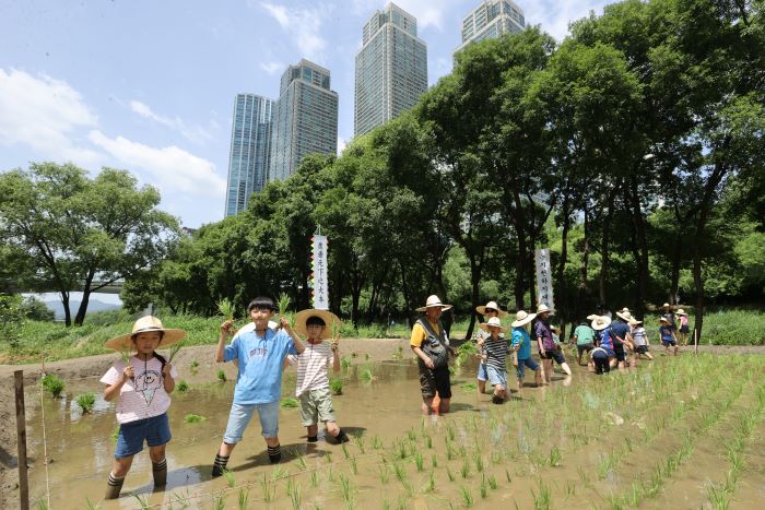 Kindergartens and Child Care Centers to Merge by 2026