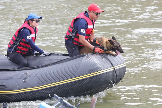 Canine Detectives: South Korea’s New Approach to Underwater Search and Rescue