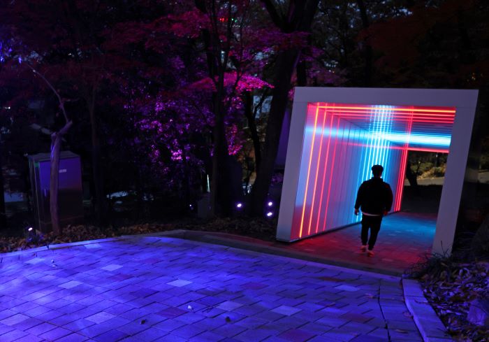 Sajik Light Forest: Gwangju’s Dazzling Fusion of History and Media Art Illuminates Winter Nights