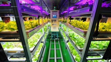 Incheon’s Nam District Launches Urban Farming Project