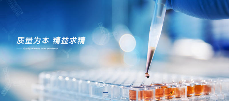 Junshi Biosciences Announces Toripalimab Obtained Approval for Marketing in India and China’s Hong Kong SAR